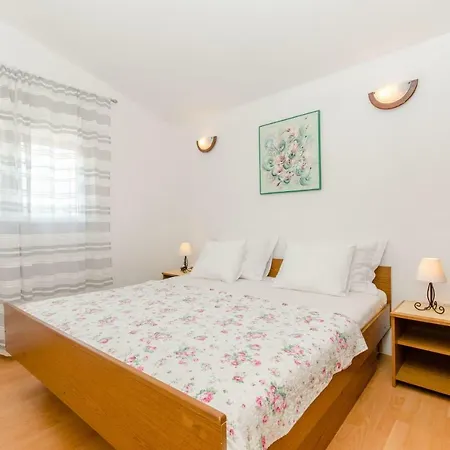 Zoric 로고즈니차