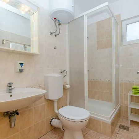 Zoric 로고즈니차