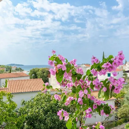 Apartment Zoric