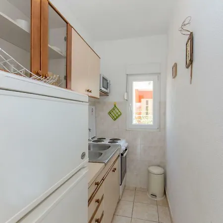 Zoric * 로고즈니차